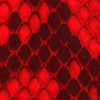 pitón rojo hibisco